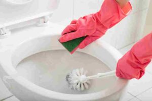 Limpiar el Inodoro - Como Limpiar el Inodoro - Limpiar Inodoro
